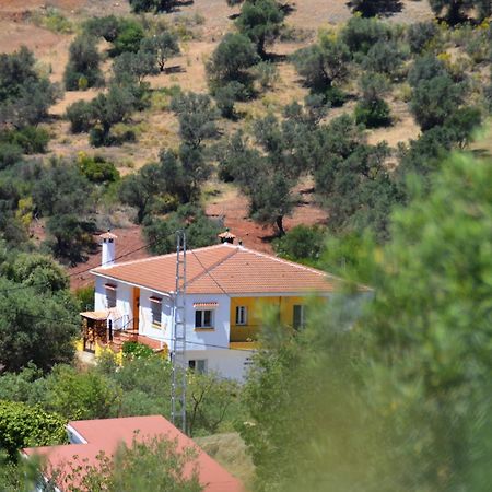 B&B Casa El Corasueno Almogia Luaran gambar