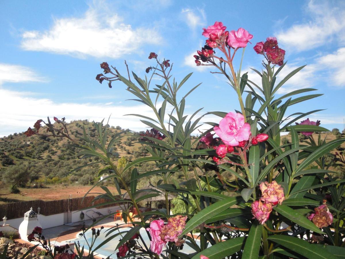 B&B Casa El Corasueno Almogia Luaran gambar